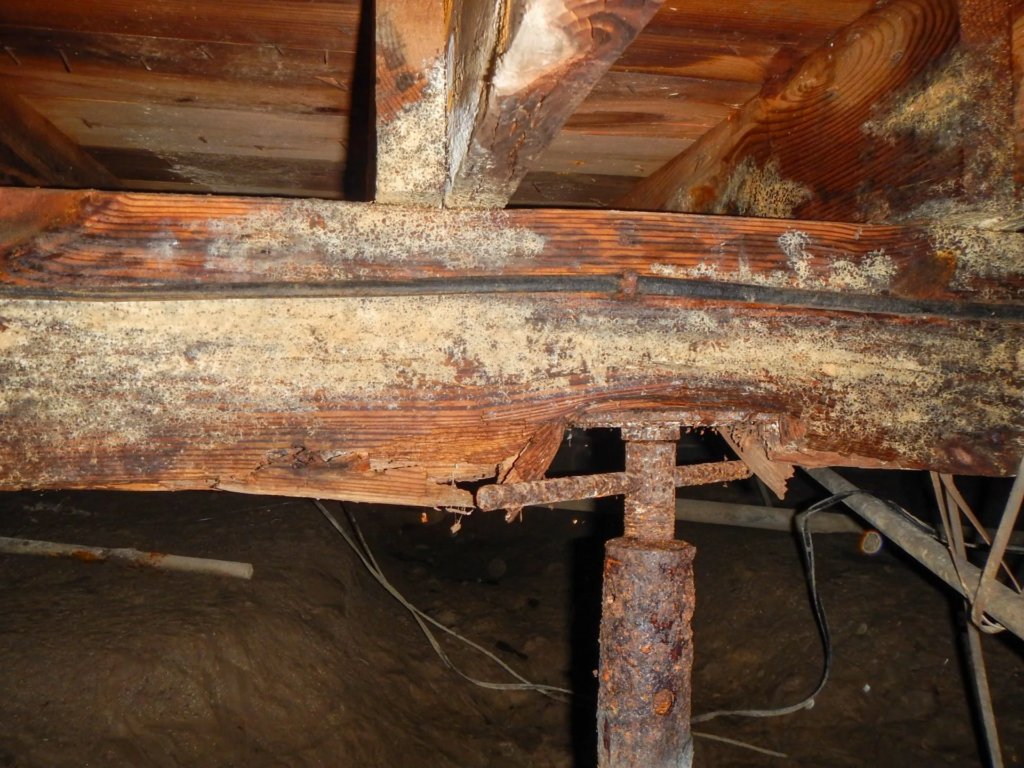 image 1 Repair or Replace? Deciding on Damaged Piers and Beams